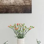 Tarsis In By Rent Like Apartment *