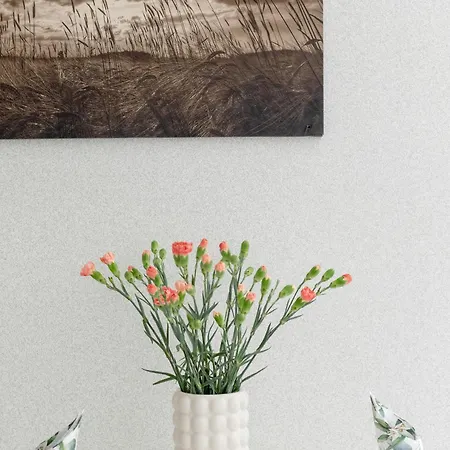 Tarsis In By Rent Like Apartamento *